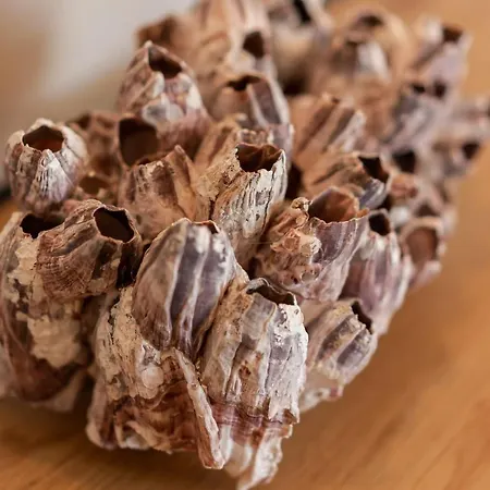 Daire Luxury Peitho Opatija