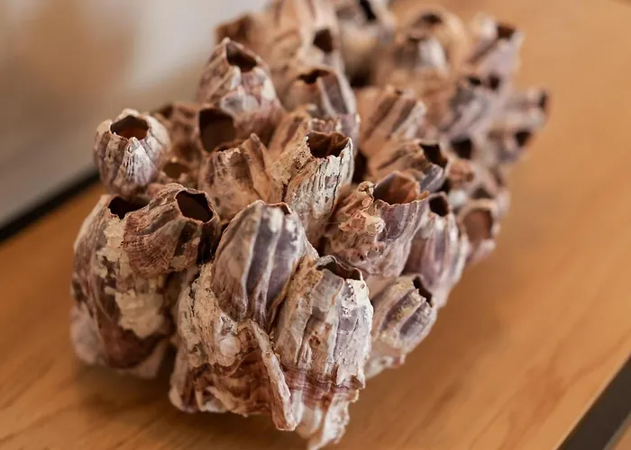 公寓 Luxury Peitho 奥帕提亚